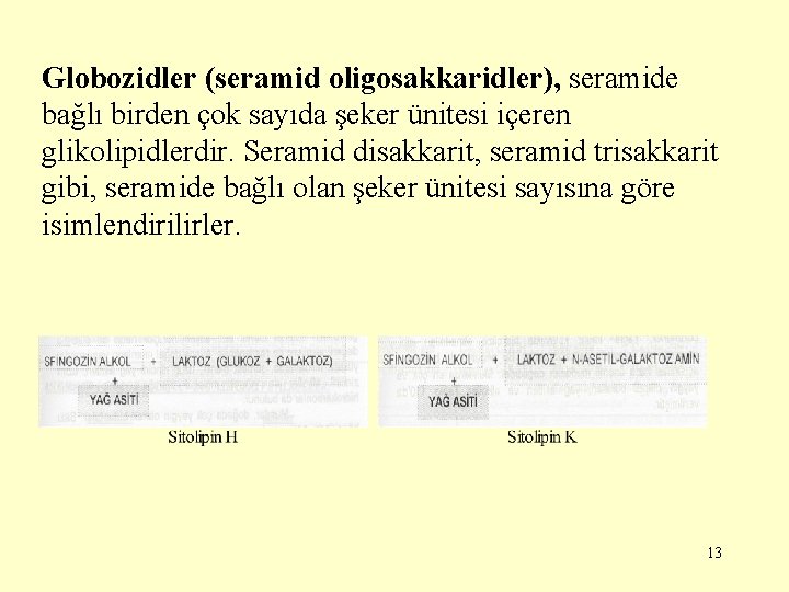 Globozidler (seramid oligosakkaridler), seramide bağlı birden çok sayıda şeker ünitesi içeren glikolipidlerdir. Seramid disakkarit,