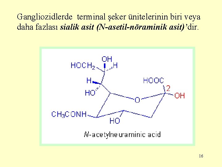 Gangliozidlerde terminal şeker ünitelerinin biri veya daha fazlası sialik asit (N-asetil-nöraminik asit)’dir. 16 
