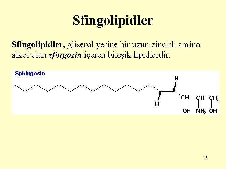 Sfingolipidler, gliserol yerine bir uzun zincirli amino alkol olan sfingozin içeren bileşik lipidlerdir. 2