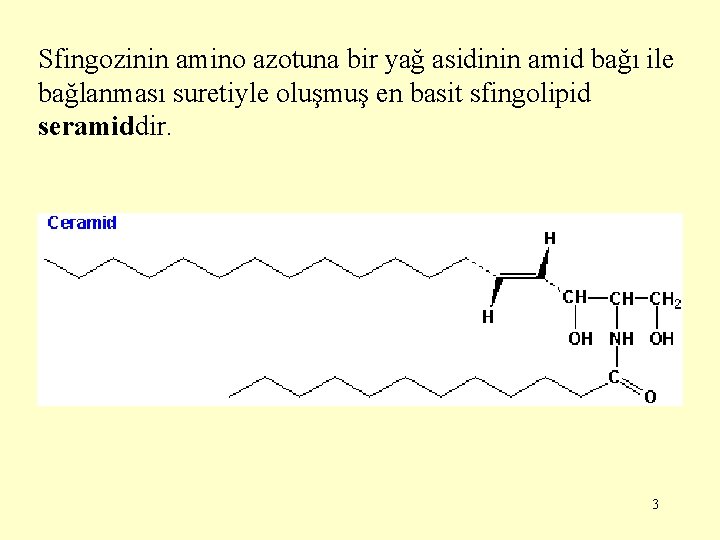 Sfingozinin amino azotuna bir yağ asidinin amid bağı ile bağlanması suretiyle oluşmuş en basit