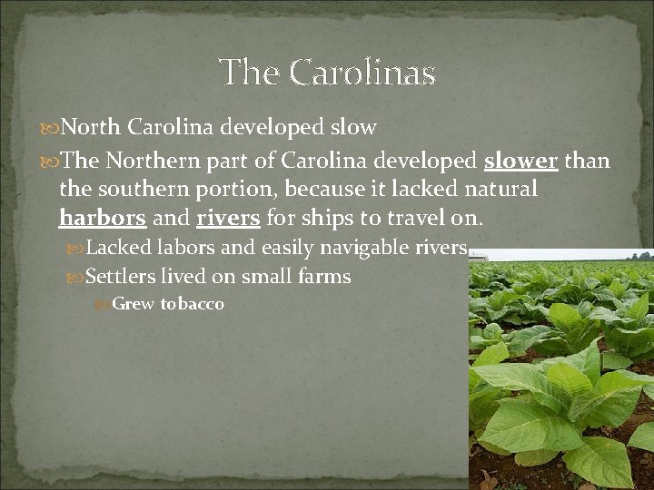 The Carolinas North Carolina developed slow The Northern part of Carolina developed slower than The Carolinas North Carolina developed slow The Northern part of Carolina developed slower than