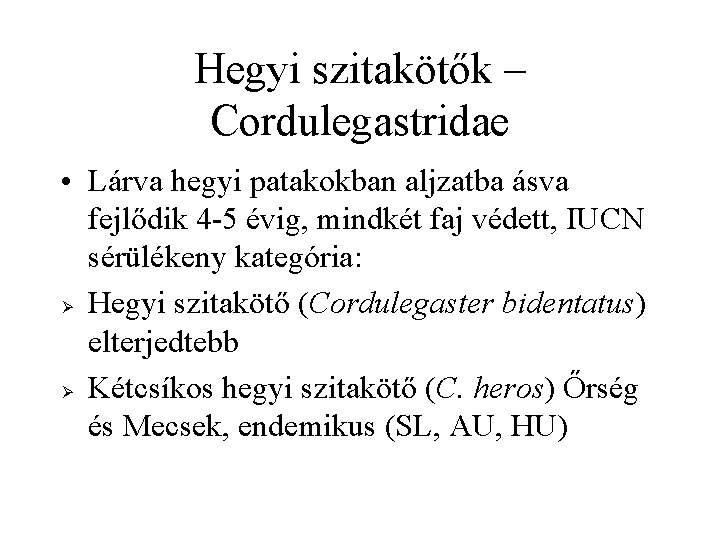 Hegyi szitakötők – Cordulegastridae • Lárva hegyi patakokban aljzatba ásva fejlődik 4 -5 évig,