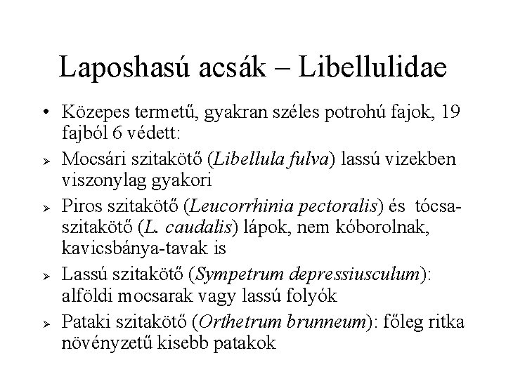 Laposhasú acsák – Libellulidae • Közepes termetű, gyakran széles potrohú fajok, 19 fajból 6