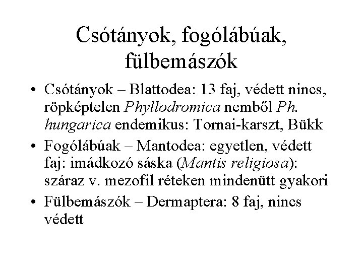 Csótányok, fogólábúak, fülbemászók • Csótányok – Blattodea: 13 faj, védett nincs, röpképtelen Phyllodromica nemből