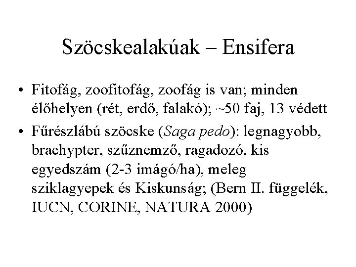 Szöcskealakúak – Ensifera • Fitofág, zoofág is van; minden élőhelyen (rét, erdő, falakó); ~50