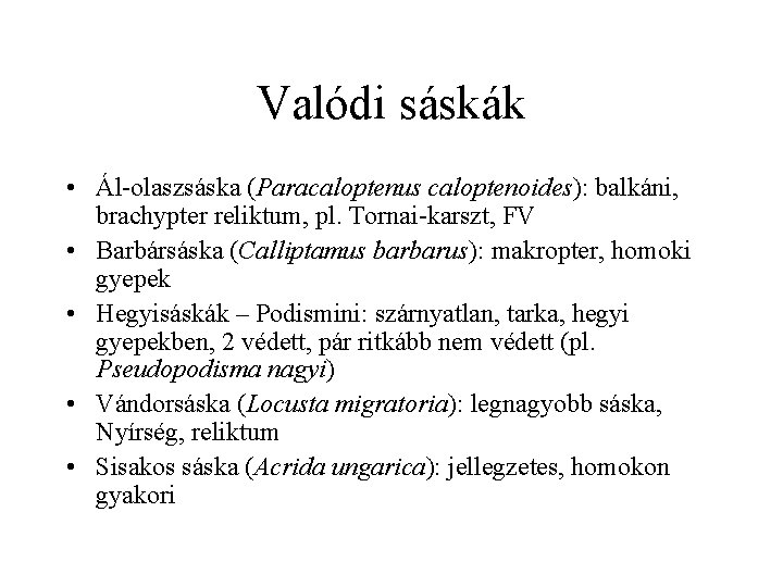 Valódi sáskák • Ál-olaszsáska (Paracaloptenus caloptenoides): balkáni, brachypter reliktum, pl. Tornai-karszt, FV • Barbársáska