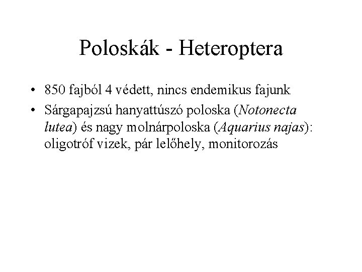 Poloskák - Heteroptera • 850 fajból 4 védett, nincs endemikus fajunk • Sárgapajzsú hanyattúszó
