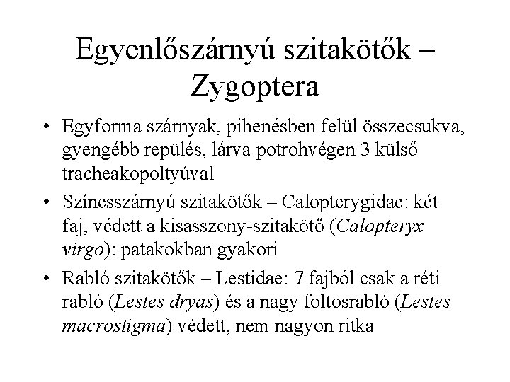 Egyenlőszárnyú szitakötők – Zygoptera • Egyforma szárnyak, pihenésben felül összecsukva, gyengébb repülés, lárva potrohvégen