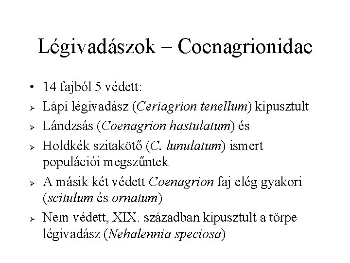 Légivadászok – Coenagrionidae • 14 fajból 5 védett: Ø Lápi légivadász (Ceriagrion tenellum) kipusztult
