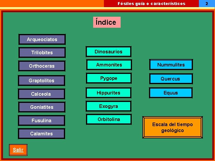 Fósiles guía o característicos Índice Arqueociatos Trilobites Dinosaurios Orthoceras Ammonites Nummulites Graptolitos Pygope Quercus