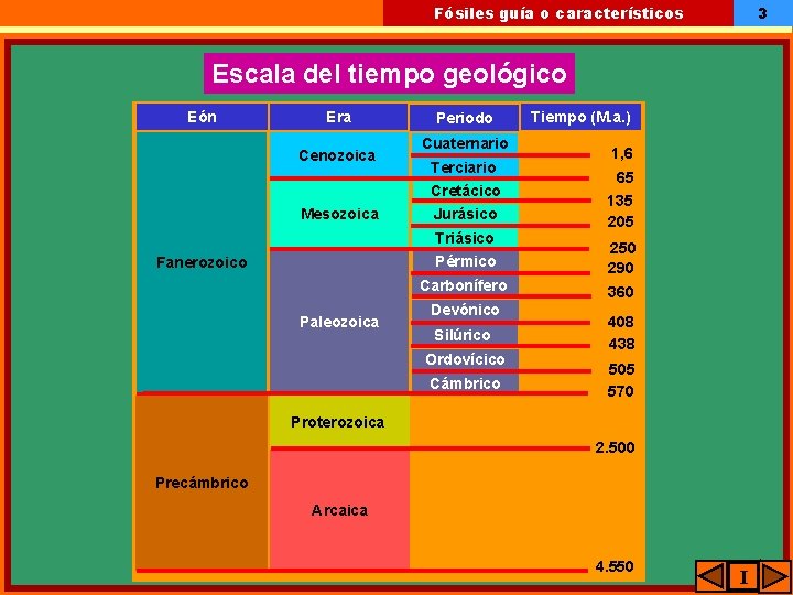 3 Fósiles guía o característicos Escala del tiempo geológico Eón Era Cenozoica Mesozoica Periodo