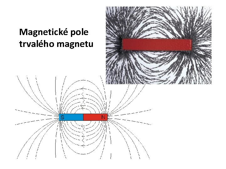 Magnetické pole trvalého magnetu Magnetické pole trvalého magnetu