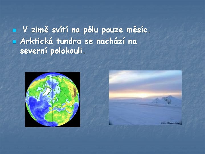 n n V zimě svítí na pólu pouze měsíc. Arktická tundra se nachází na