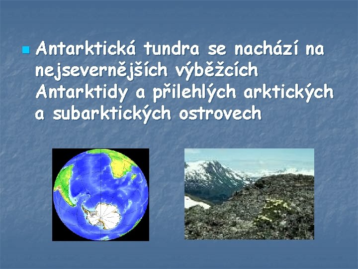 n Antarktická tundra se nachází na nejsevernějších výběžcích Antarktidy a přilehlých arktických a subarktických