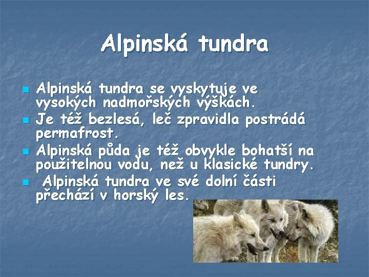 Alpinská tundra n n Alpinská tundra se vyskytuje ve vysokých nadmořských výškách. Je též