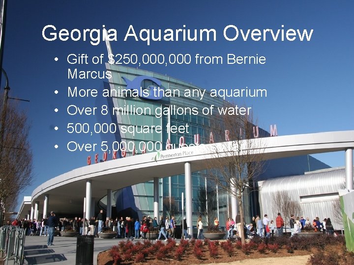 Georgia Aquarium Overview • Gift of $250, 000 from Bernie Marcus • More animals