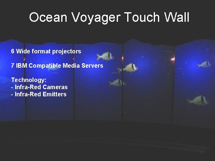 Ocean Voyager Touch Wall 6 Wide format projectors 7 IBM Compatible Media Servers Technology: