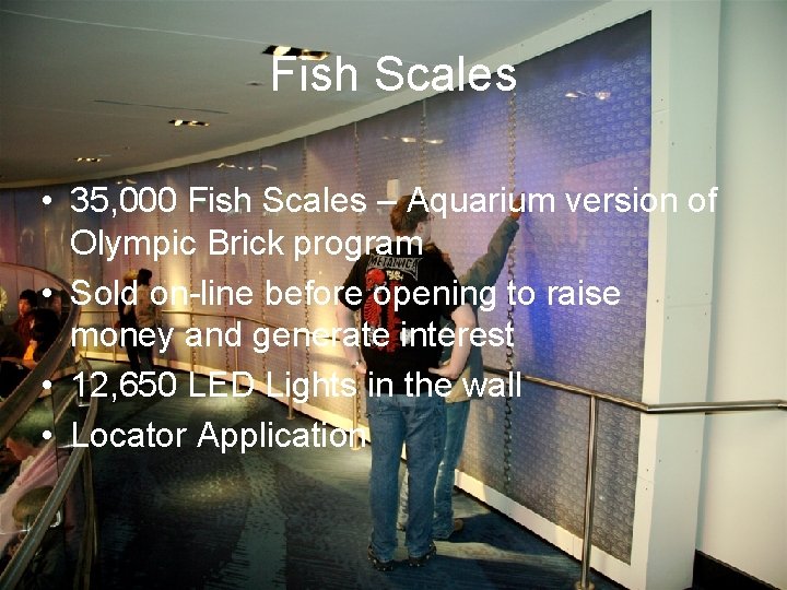 Fish Scales • 35, 000 Fish Scales – Aquarium version of Olympic Brick program