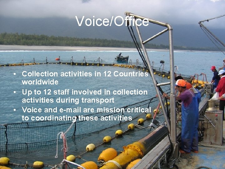 Voice/Office • Collection activities in 12 Countries worldwide • Up to 12 staff involved