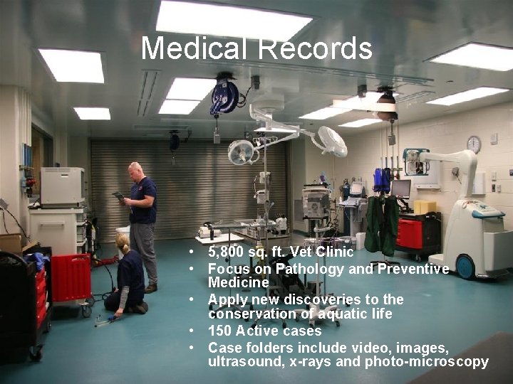 Medical Records • 5, 800 sq. ft. Vet Clinic • Focus on Pathology and