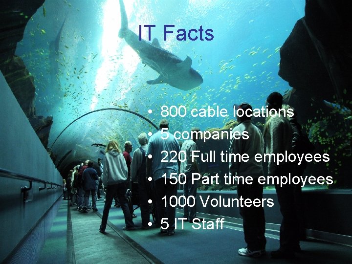 IT Facts • • • 800 cable locations 5 companies 220 Full time employees