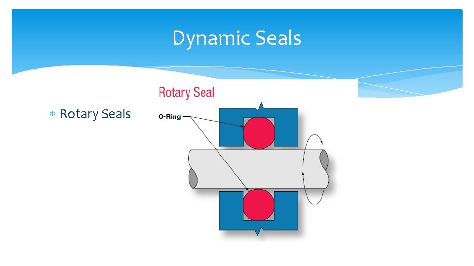 Dynamic Seals Rotary Seals 