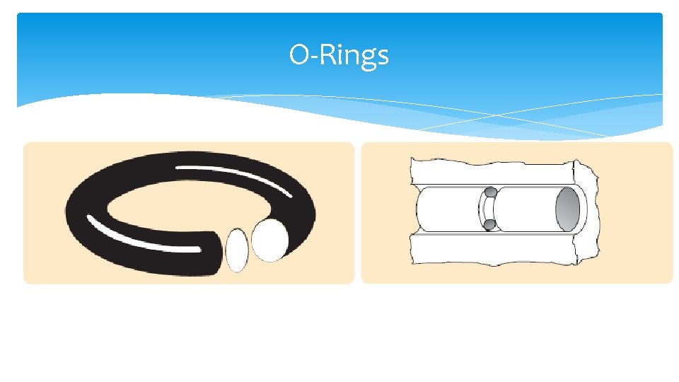 O-Rings 