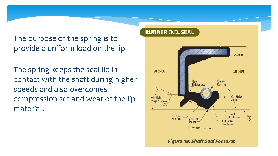 The purpose of the spring is to provide a uniform load on the lip