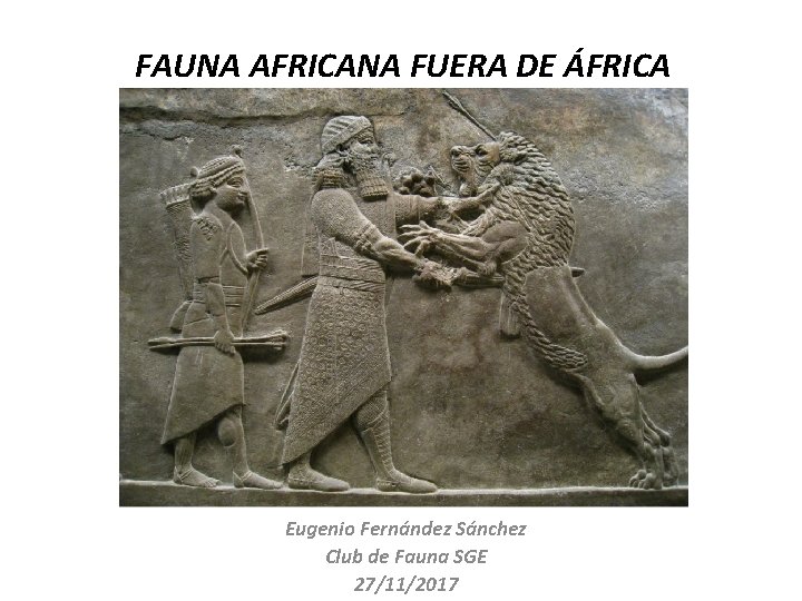 FAUNA AFRICANA FUERA DE ÁFRICA Eugenio Fernández Sánchez Club de Fauna SGE 27/11/2017 