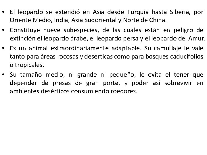 • El leopardo se extendió en Asia desde Turquía hasta Siberia, por Oriente • El leopardo se extendió en Asia desde Turquía hasta Siberia, por Oriente
