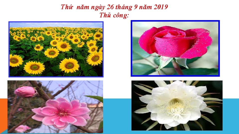 Thứ năm ngày 26 tháng 9 năm 2019 Thủ công: 