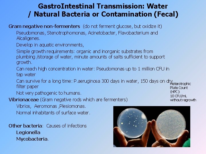 Gastro. Intestinal Transmission: Water / Natural Bacteria or Contamination (Fecal) Gram negative non-fermenters (do