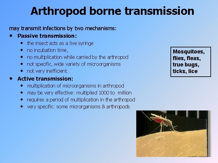 Arthropod borne transmission may transmit infections by two mechanisms: • Passive transmission: • •