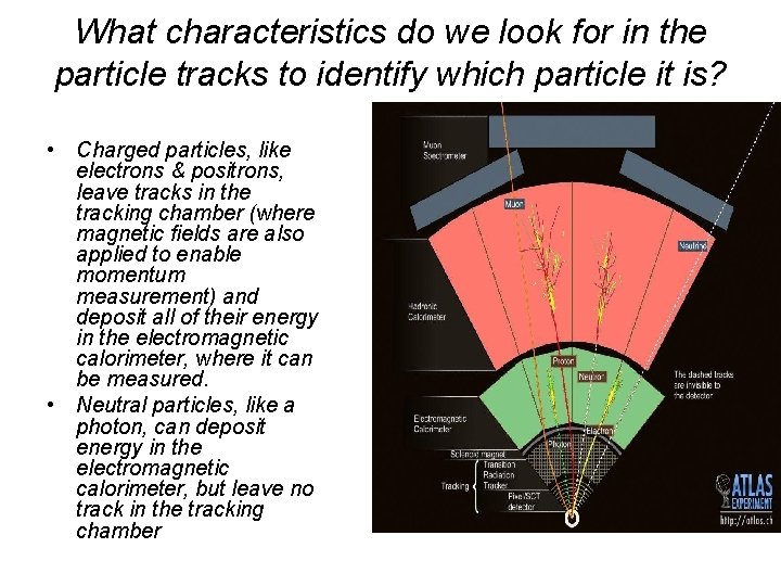 What characteristics do we look for in the particle tracks to identify which particle