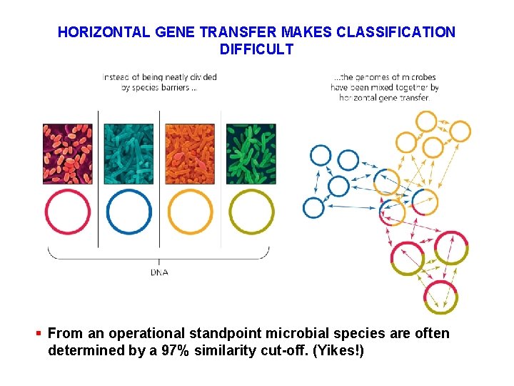 HORIZONTAL GENE TRANSFER MAKES CLASSIFICATION DIFFICULT § From an operational standpoint microbial species are HORIZONTAL GENE TRANSFER MAKES CLASSIFICATION DIFFICULT § From an operational standpoint microbial species are