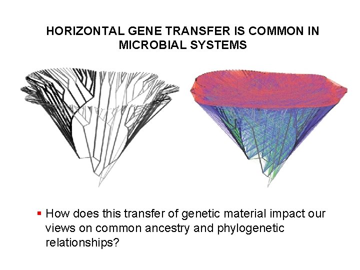 HORIZONTAL GENE TRANSFER IS COMMON IN MICROBIAL SYSTEMS § How does this transfer of