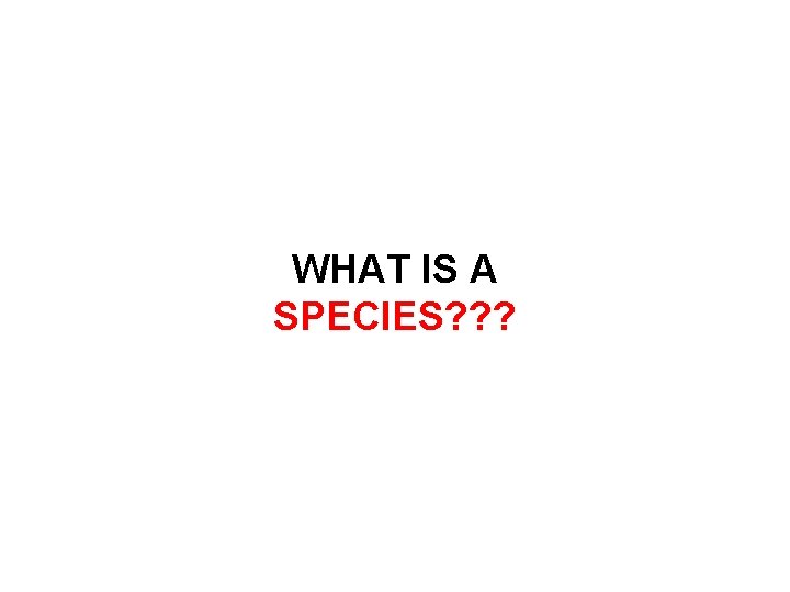 WHAT IS A SPECIES? ? ? 