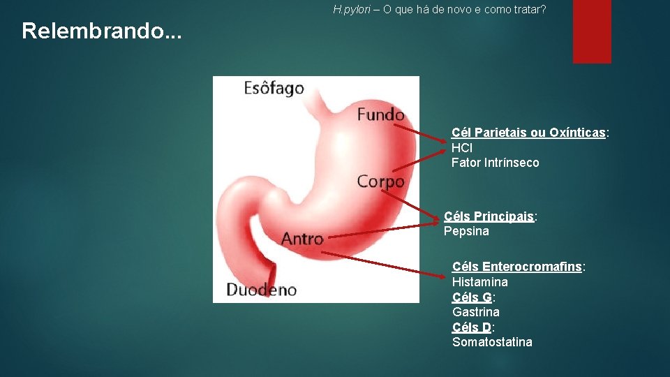 H. pylori – O que há de novo e como tratar? Relembrando. . .