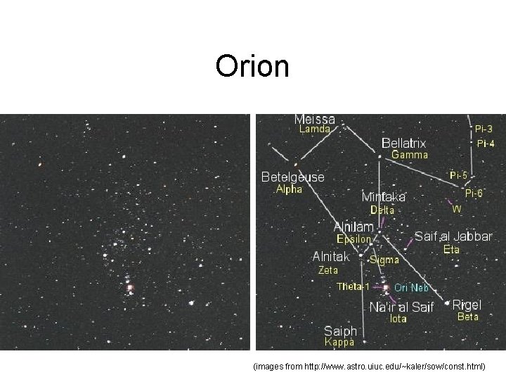 Orion (images from http: //www. astro. uiuc. edu/~kaler/sow/const. html) 