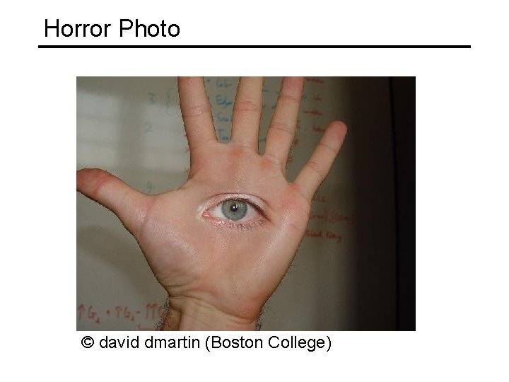 Horror Photo © david dmartin (Boston College) 