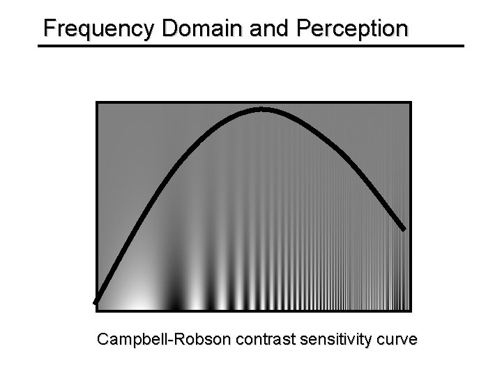 Frequency Domain and Perception Campbell-Robson contrast sensitivity curve 