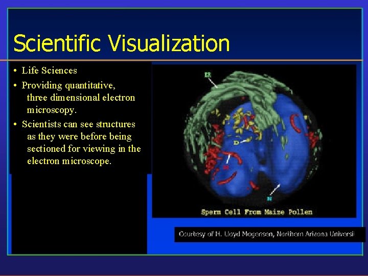 Scientific Visualization • Life Sciences • Providing quantitative, three dimensional electron microscopy. • Scientists