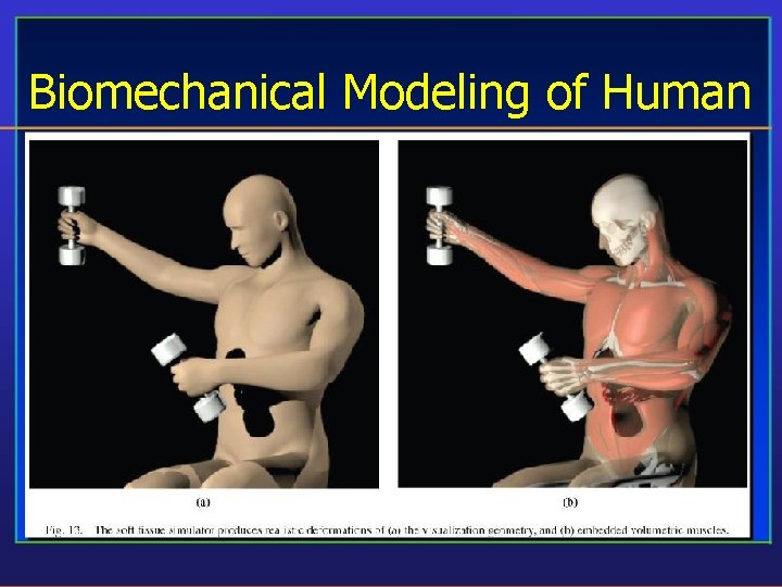 Biomechanical Modeling of Human 