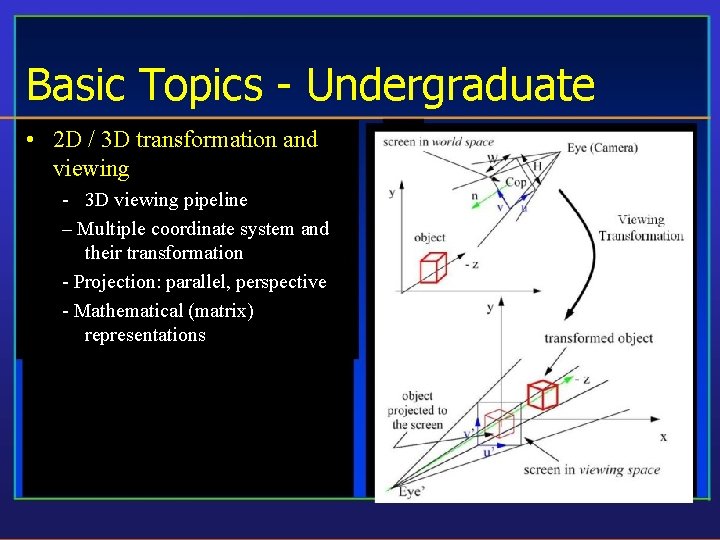 Basic Topics - Undergraduate • 2 D / 3 D transformation and viewing -