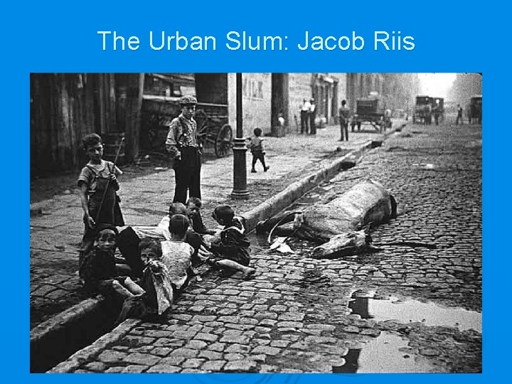 The Urban Slum: Jacob Riis 