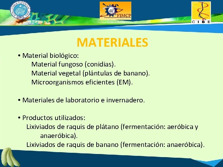 MATERIALES • Material biológico: Material fungoso (conidias). Material vegetal (plántulas de banano). Microorganismos eficientes