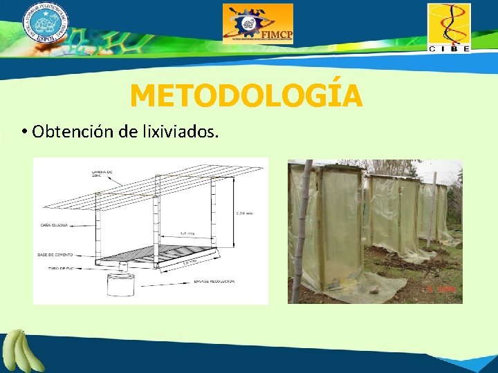 METODOLOGÍA • Obtención de lixiviados. 