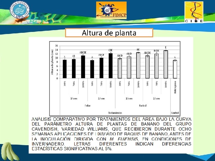 Altura de planta 