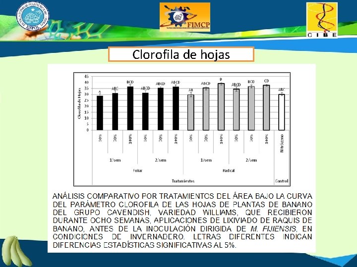 Clorofila de hojas 