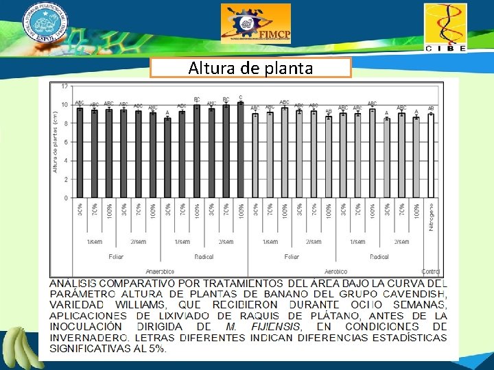 Altura de planta 